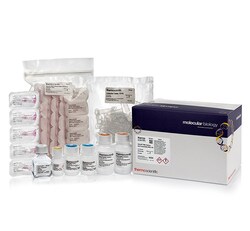 GeneJET RNA Cleanup and Concentration Micro Kit